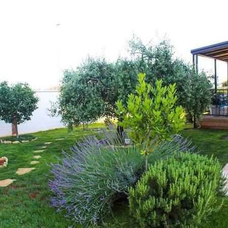 Apartments Lila Novigrad Istria Exterior foto
